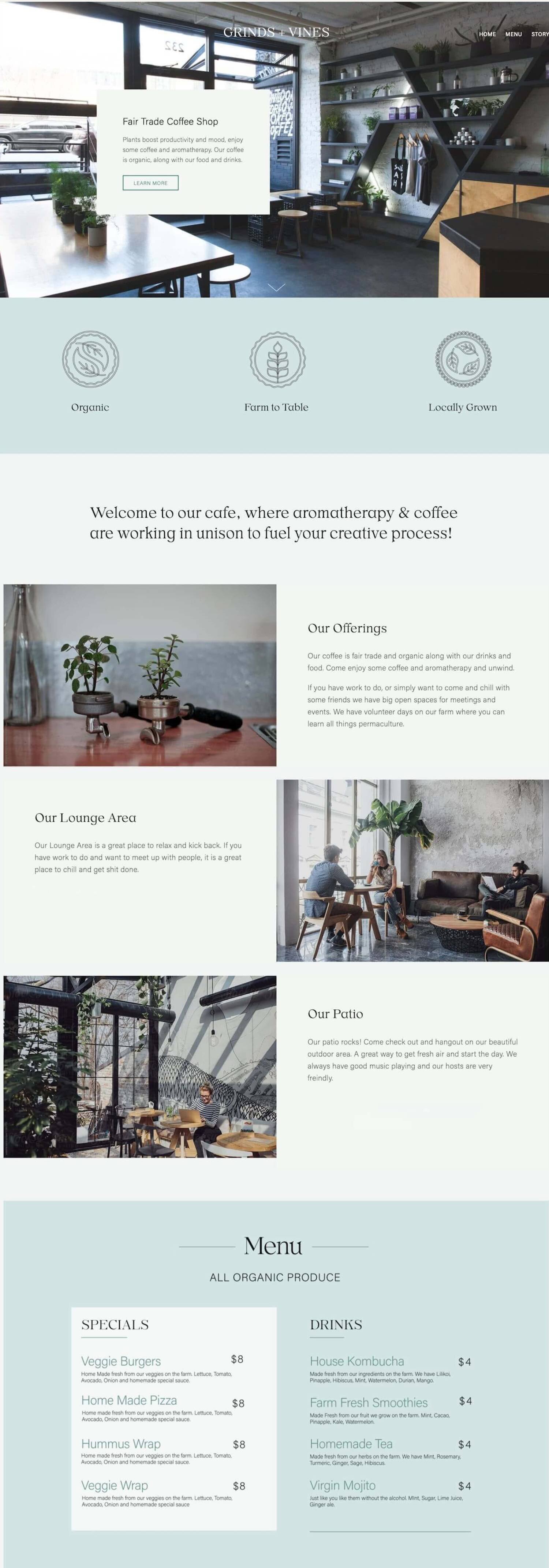 How niching early as a web designer transformed my business & my confidence by Danae Bloise student of Paige Brunton's Squarespace Web Designer Courses.jpg