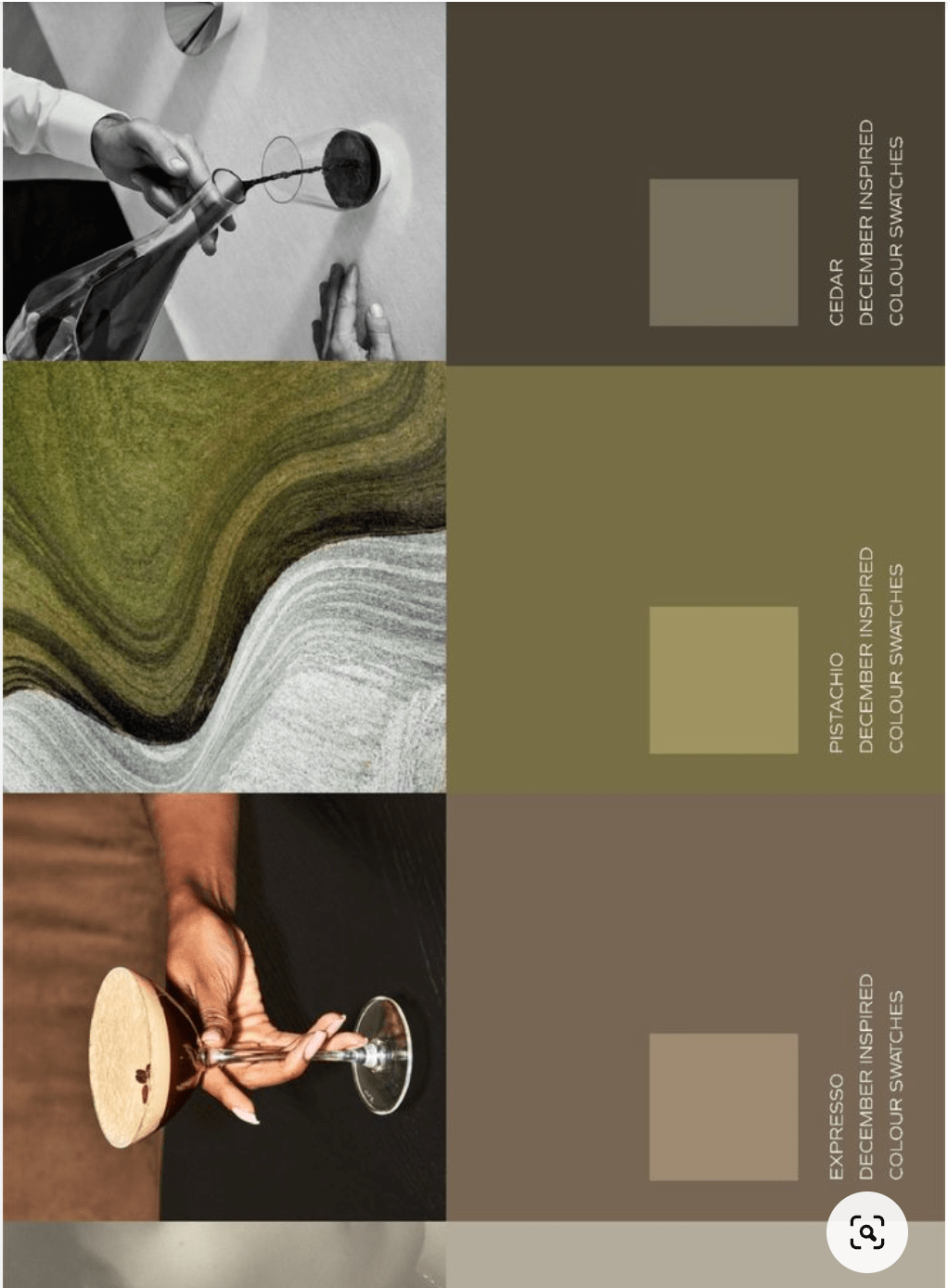 Color Pallete inspired by earthy tones and wine.png
